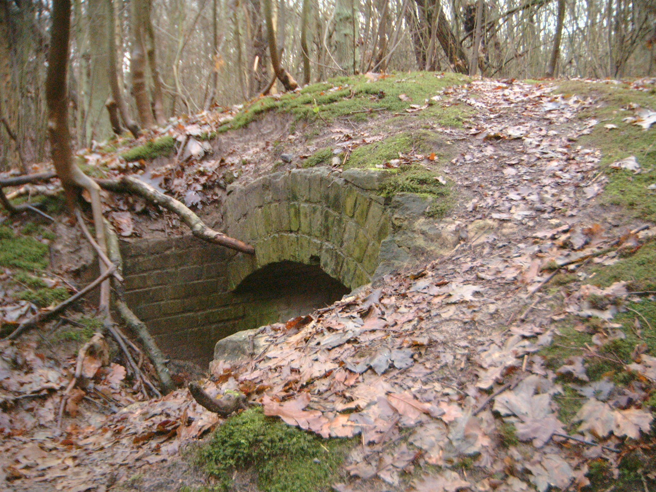 Image*After images maartent forest underground bridge hideout