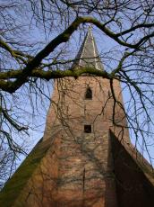 church zuidhorn tree branch branches tower masonry architecture exteriors churchtower