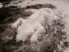 eva snow sculpture frozen ice lizard
