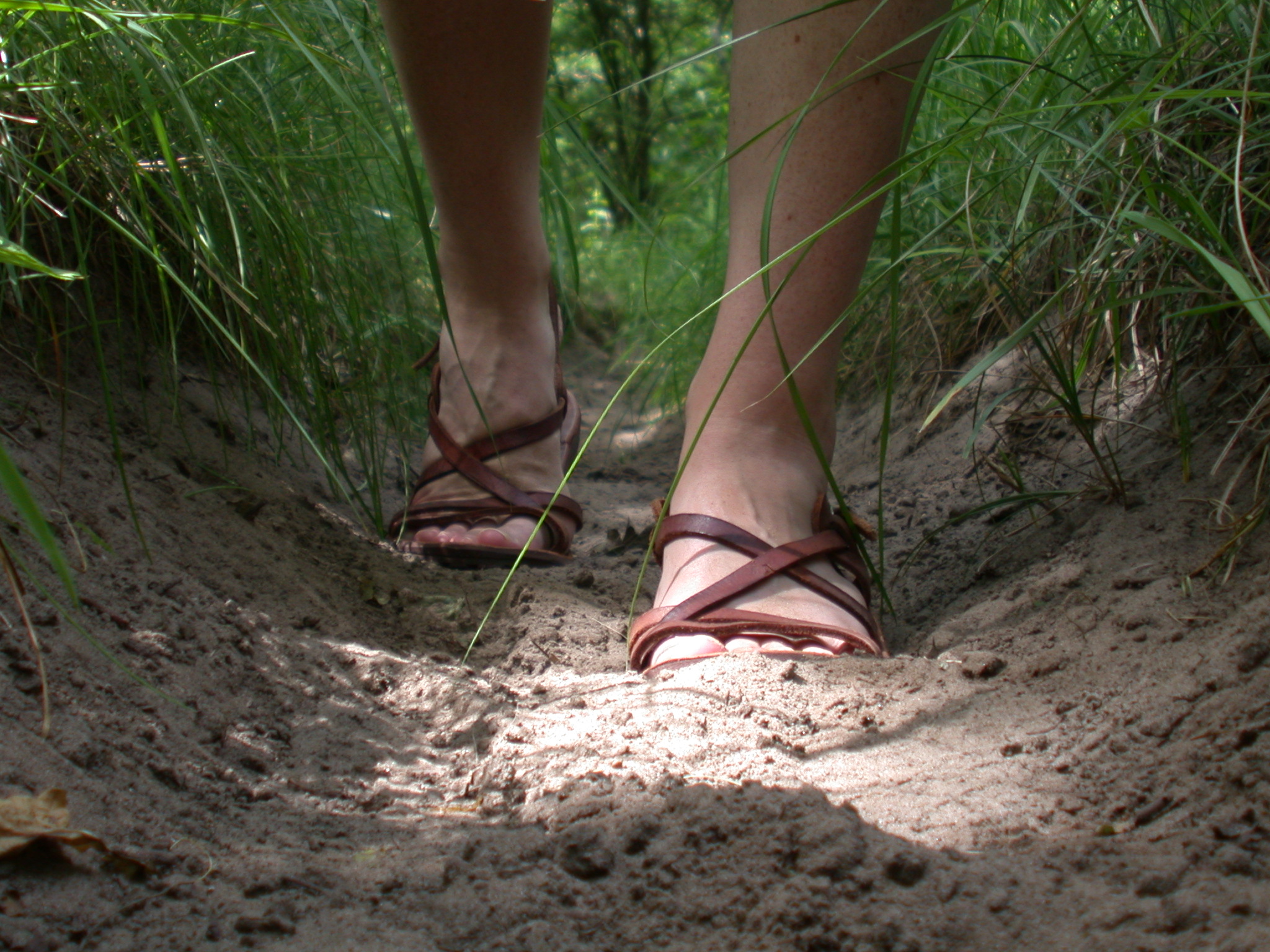 ... *After : images : feet legs path forest walking walk steps sand grass
