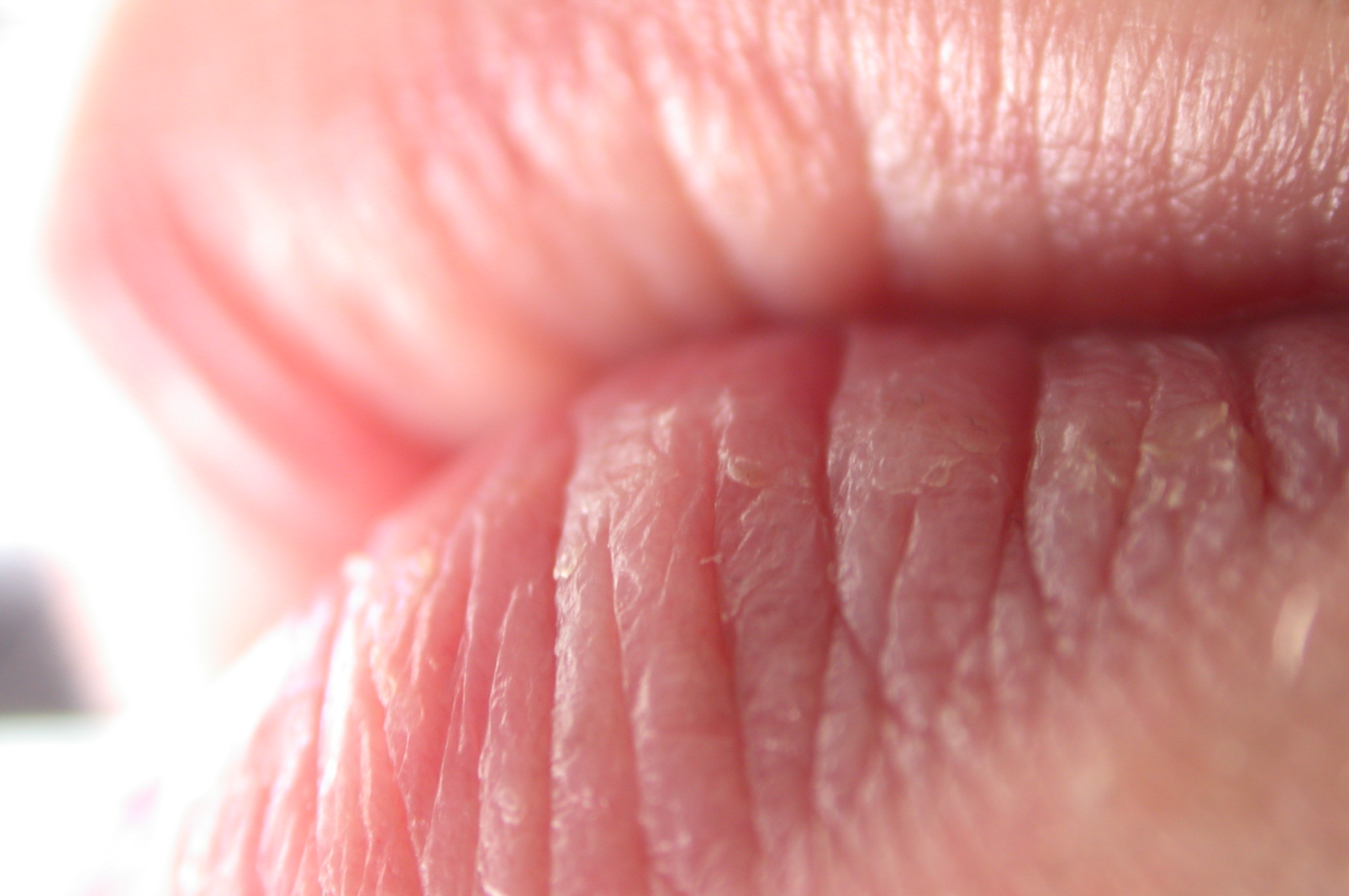 Image*After : image : lip lips mouth texture skin flesh nature characters  humanparts pink macro wrinkles