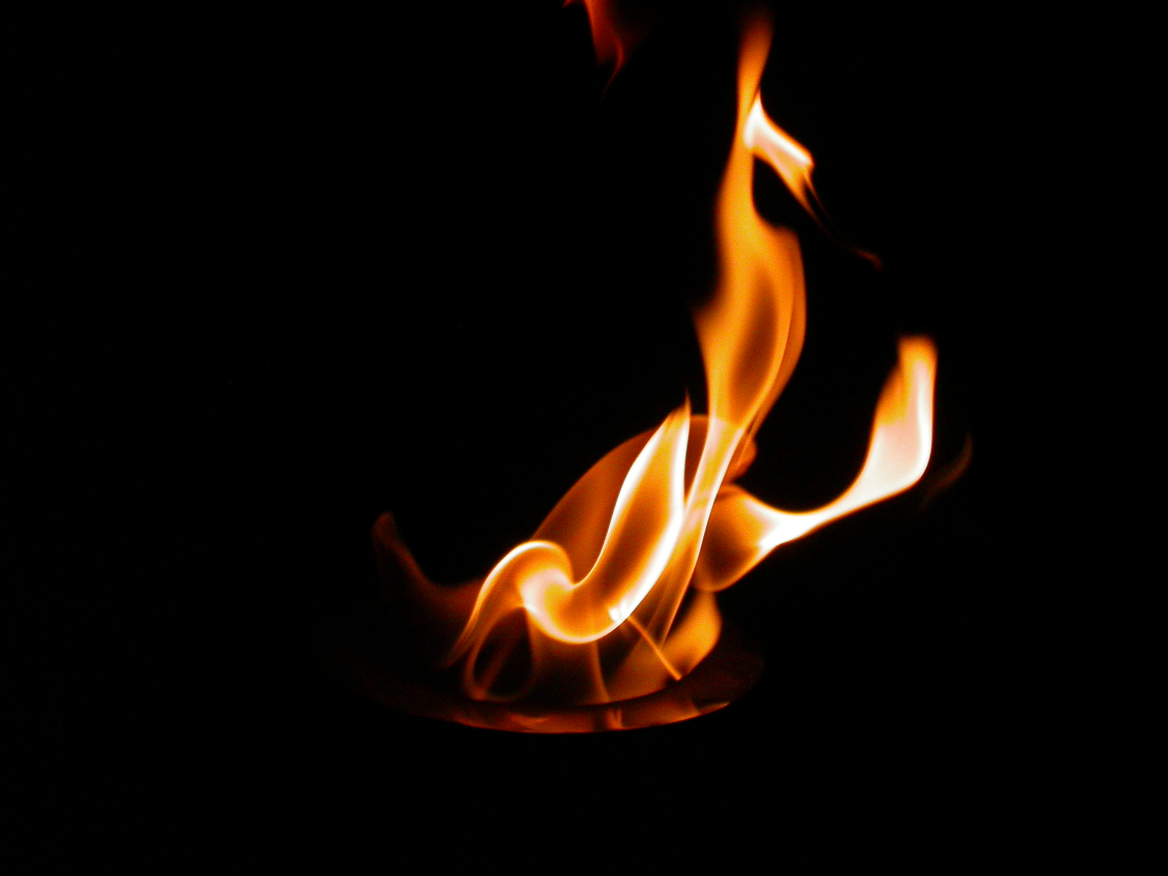 Flame pussing licking Flame pussing licking