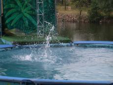 nature elements water splash fountain burning stuntman jump pool