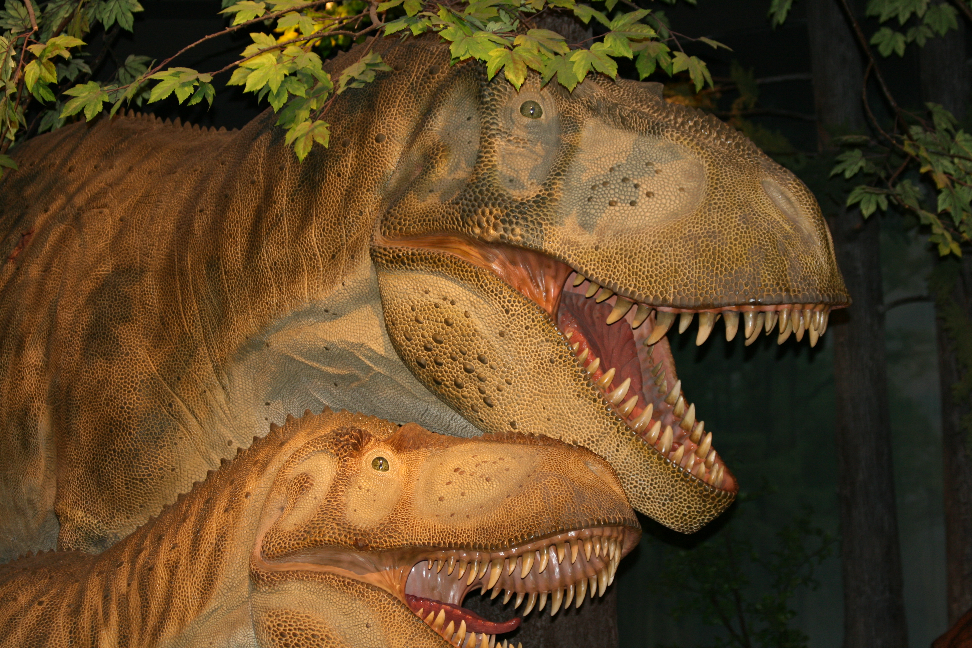 Dinosaur Dentist - 31r00hr