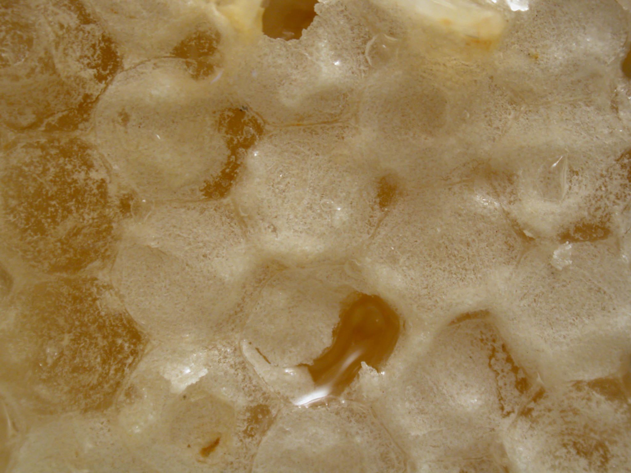 Image*After images food goo soup bubble bubbles froth foam foamy