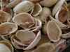 nut nuts shells pistachio shell food