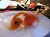 tabus orange peel fruit citrus food