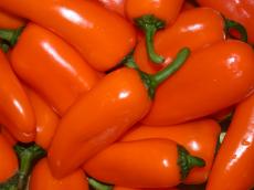 nature food pepper orange paprika texture fruit vegetable vegetables