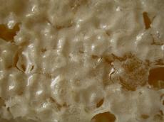 goo mildew sticky jucky foamy layer gooey