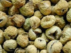 dried fruit food green texture pattern nature