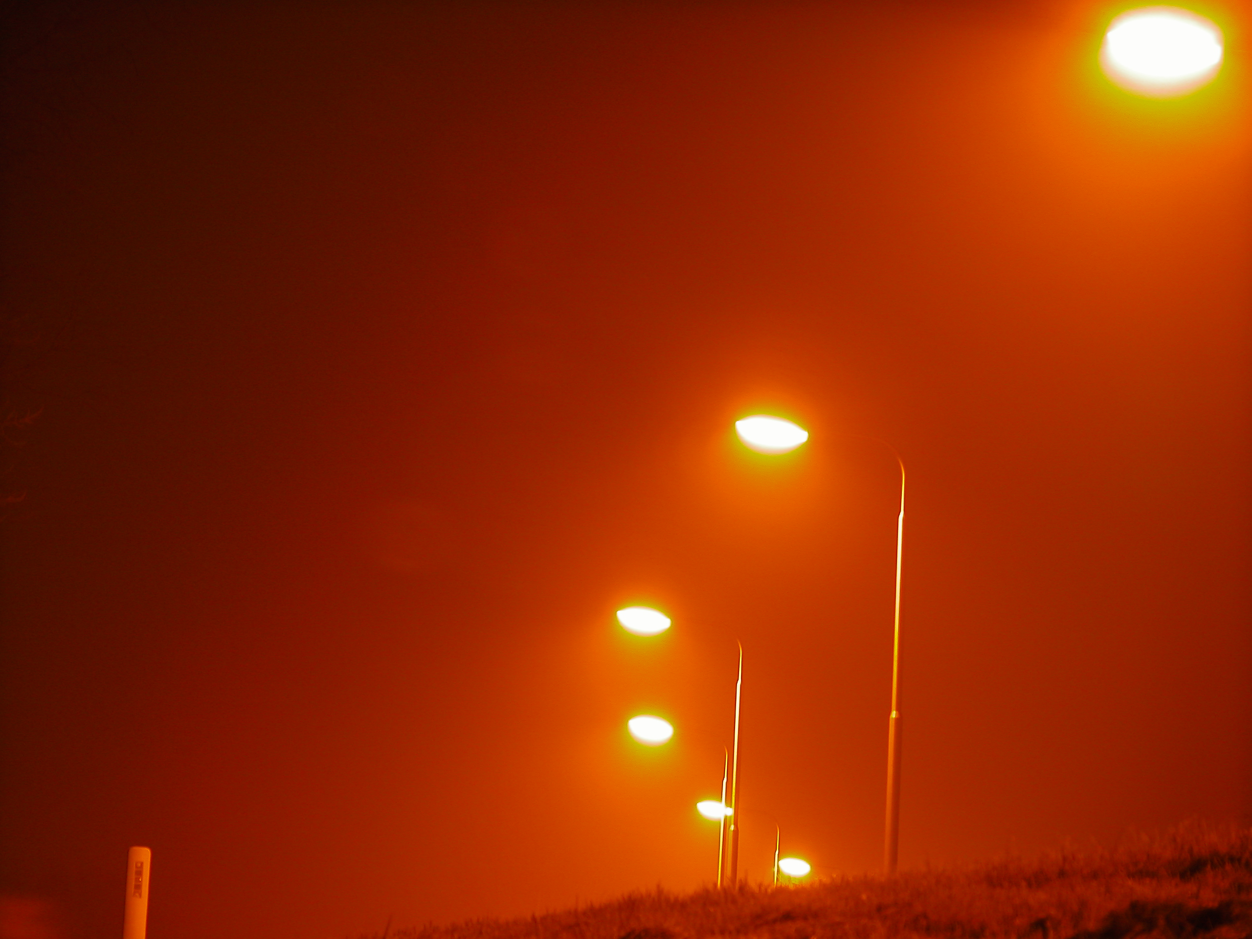 Orange Glow