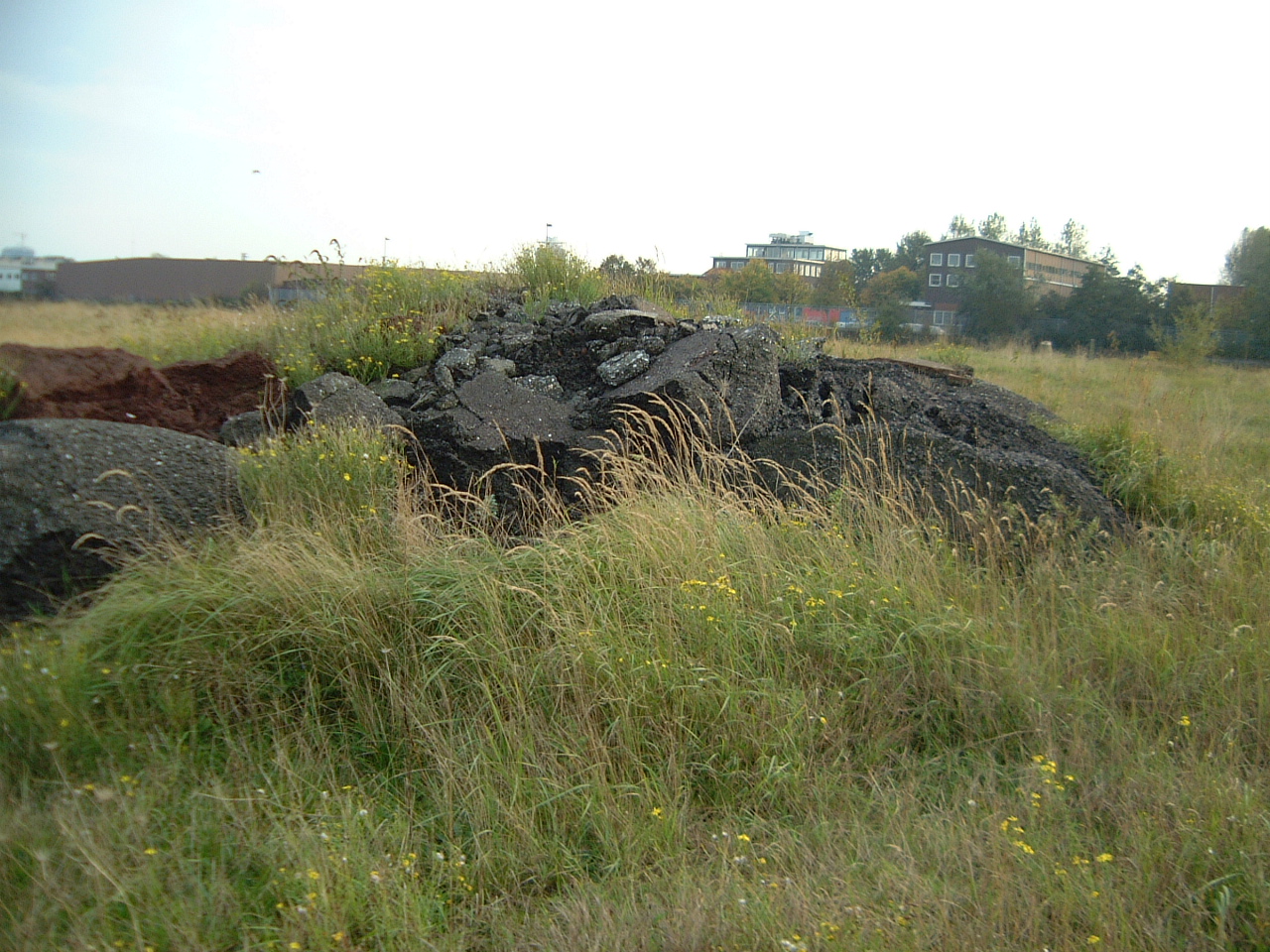 image-after-photos-field-grass-heap-of-dirt-ground-earth-maartent