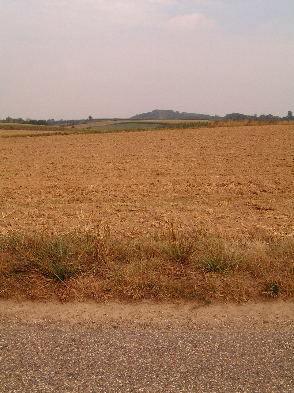 Image*After images maartent dry barren field brown path