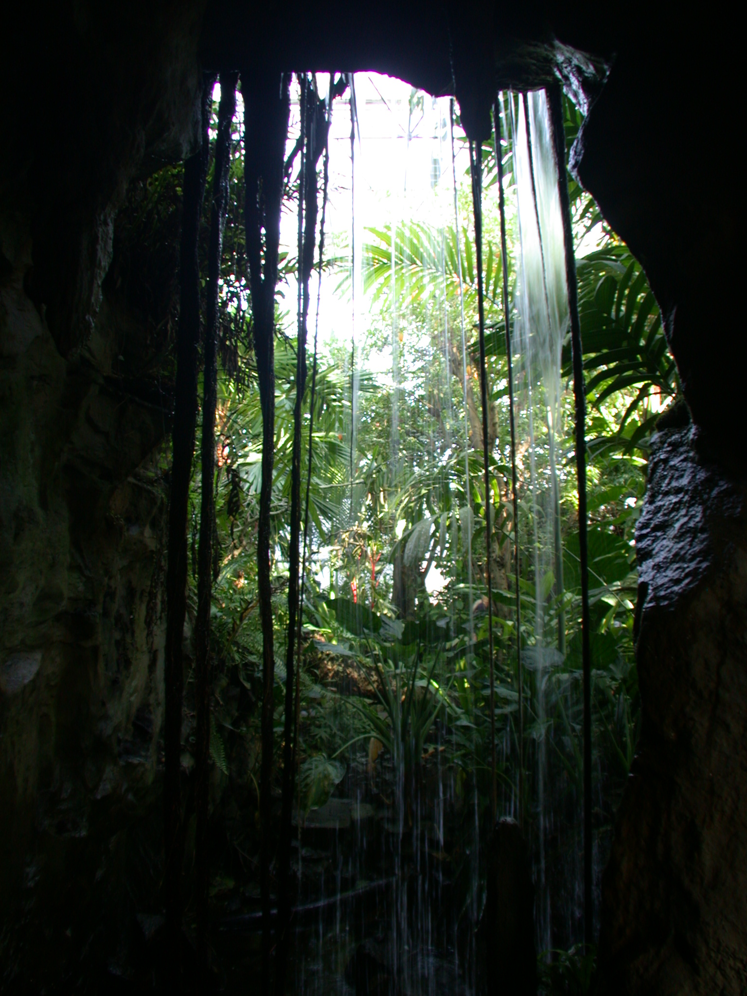 Image*After photos waterfall nature jungle cave forest plants green