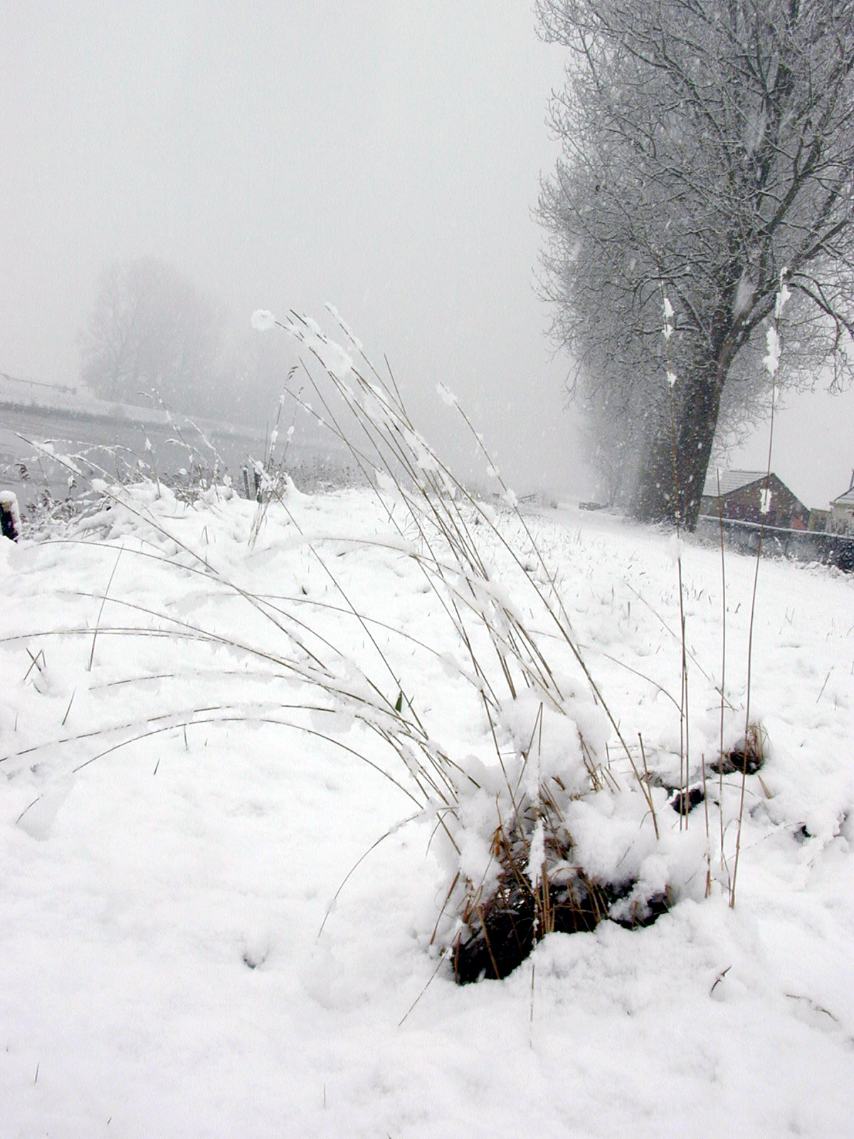 Image*After images snow picture postcard scenic winter tableau