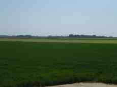maartent view country flat field fields farm farmhouse