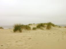 beach sand dune dunes sea water wave waves footprint footprints