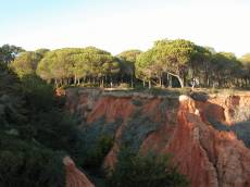 red cliff cliffs tree trees dramatic