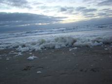 txpinky foam sea waves shore beach white