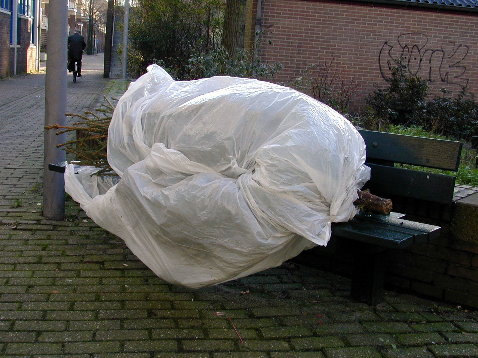 Image*After photos tree tree bench plastic