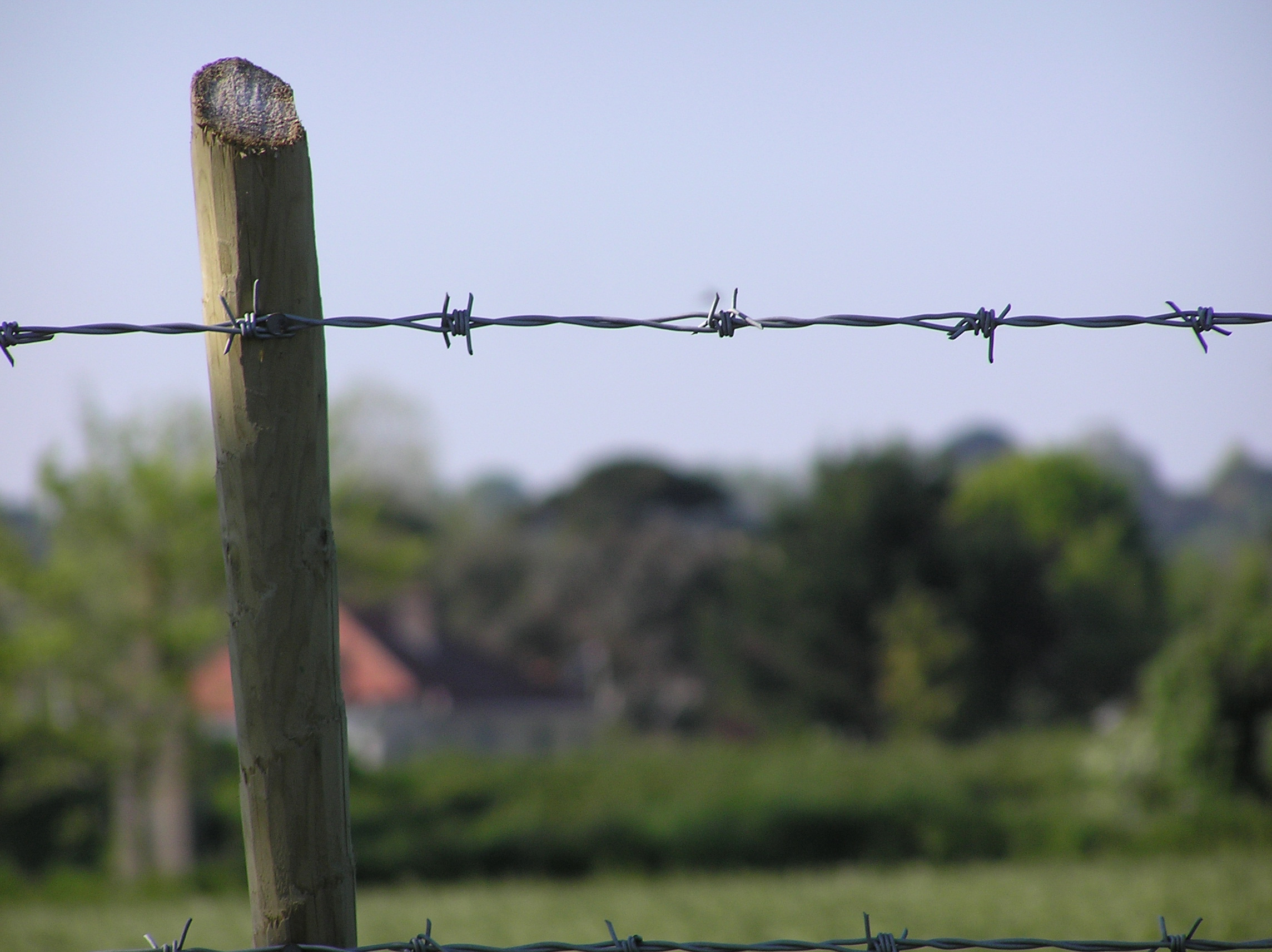 danmarsh barbed wire fence pole spikes.