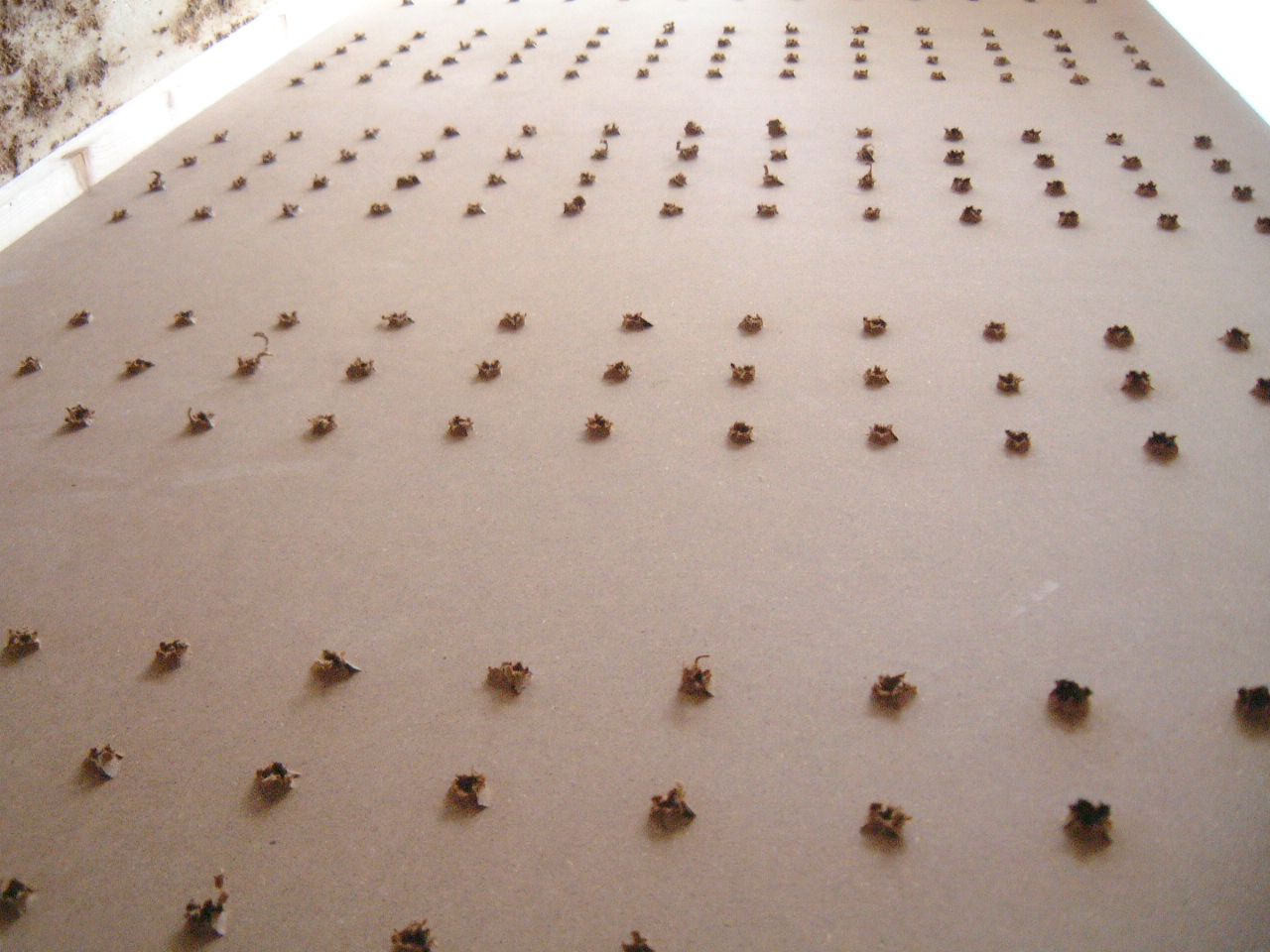 Image*After images maartent cardboard board holes paper punctured