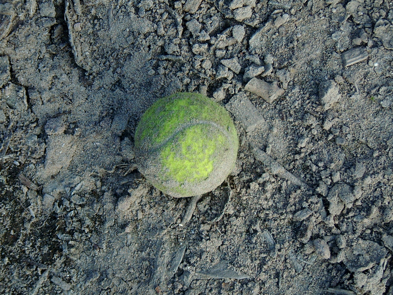 Image*After photos maartent tennis ball tennisball dirt dirty sport