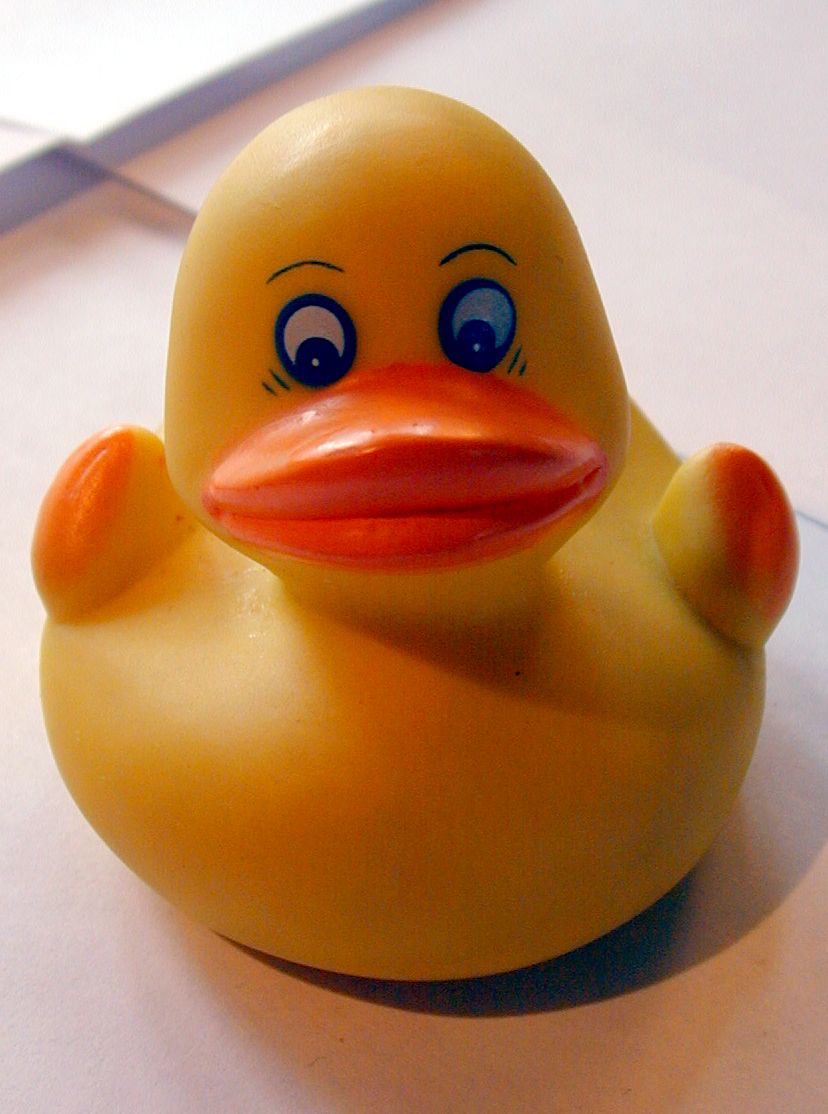 rubber ducky duck bath bathtub yellow orange water.
