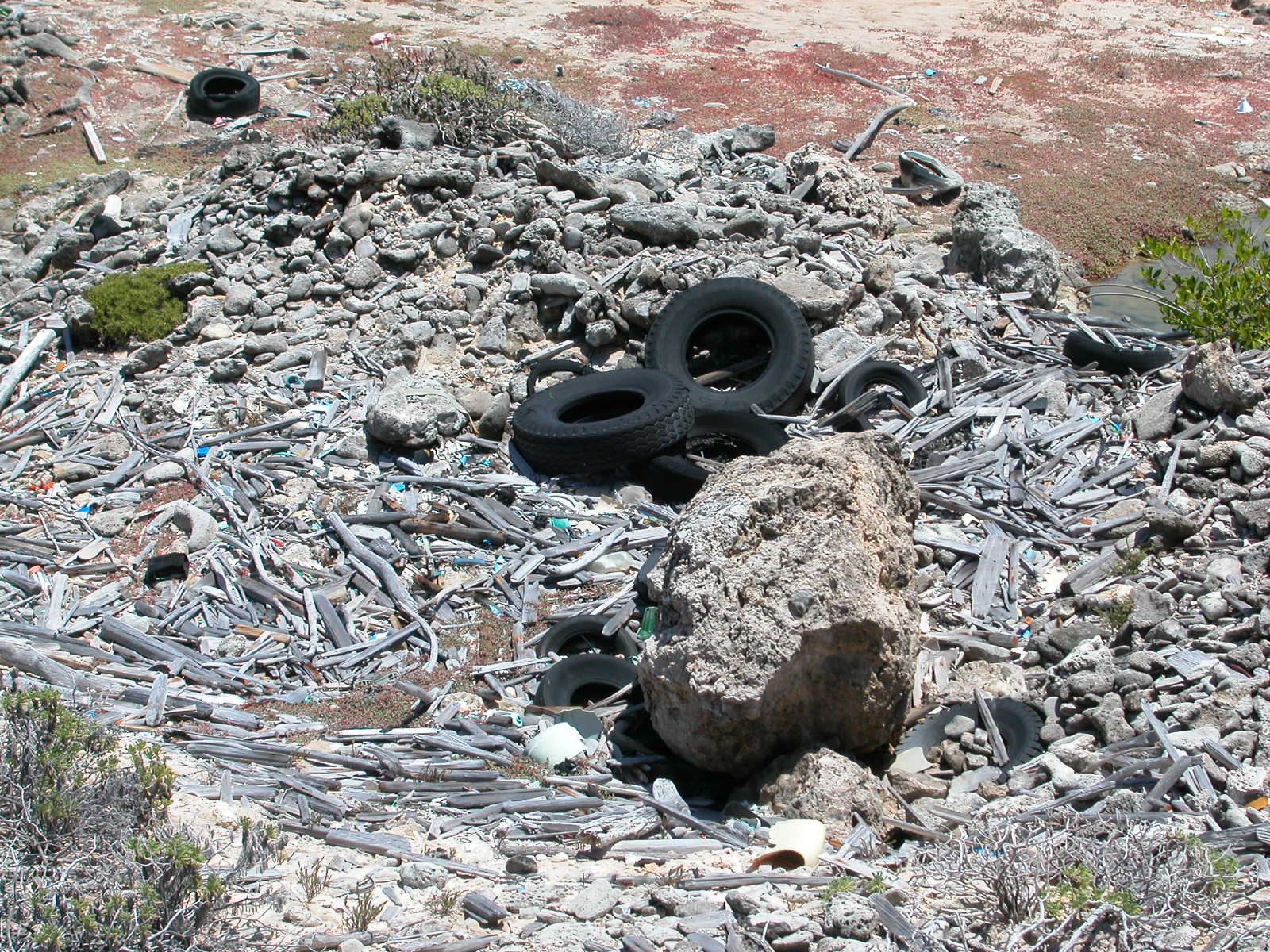 Image*After photos jacco curacao rubble tire tires objects nature