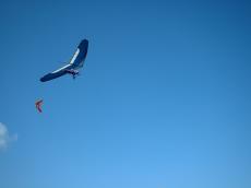 vicky sheperd delta flyers flyer wings blue sky