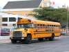 jacco curacao vehicles land schoolbus bus school public transport publictransport