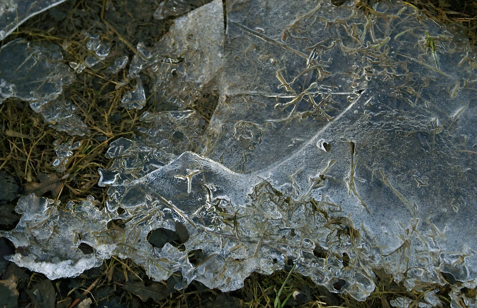 Image*After photos betina frozen ground ice cold
