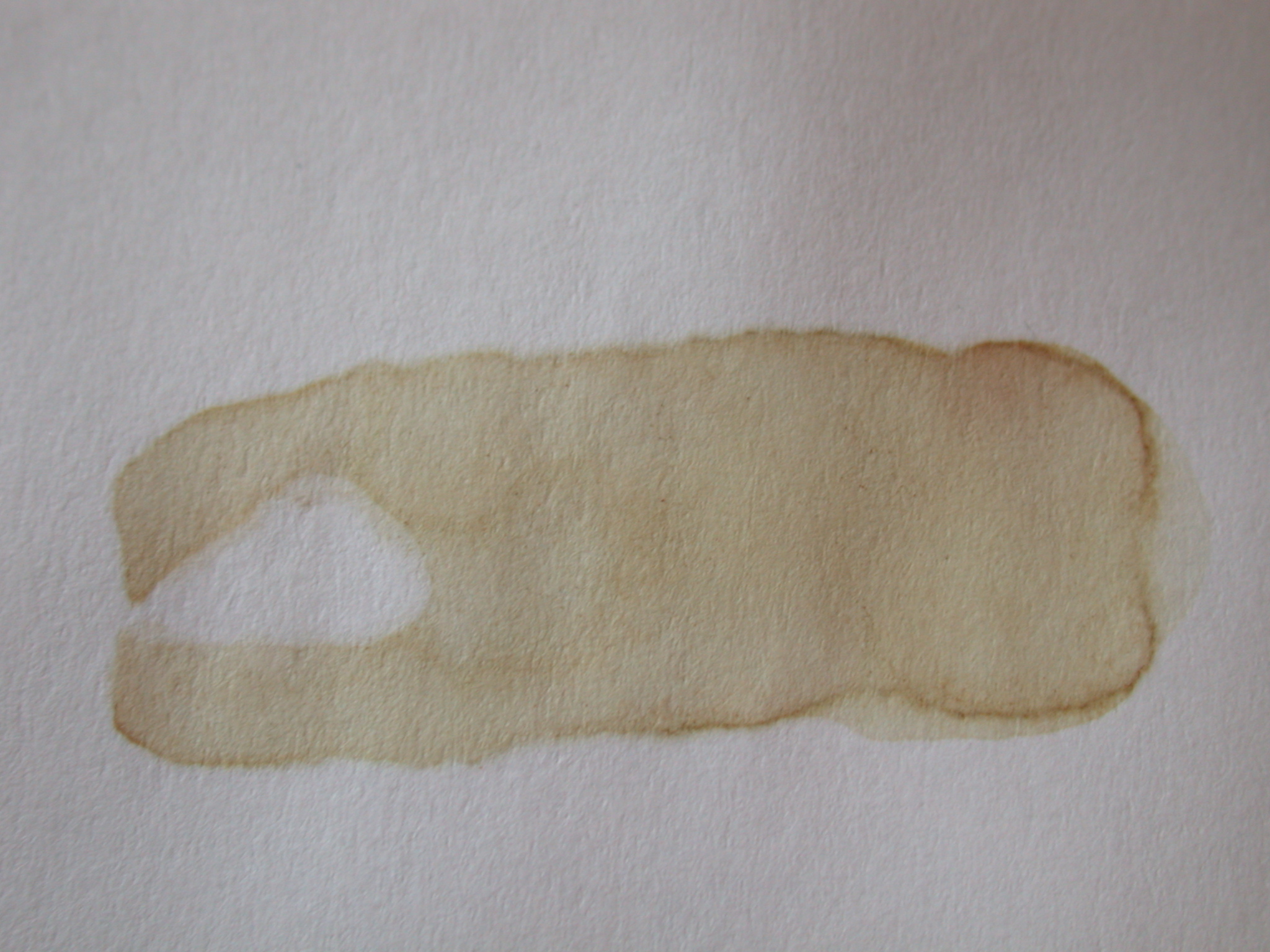 Image*After photos coffee stain on paper