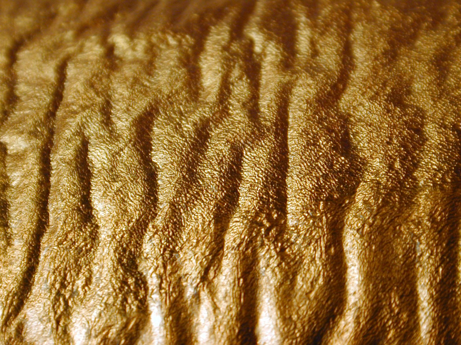 Image*After textures fish scales skin orange closeup closeup