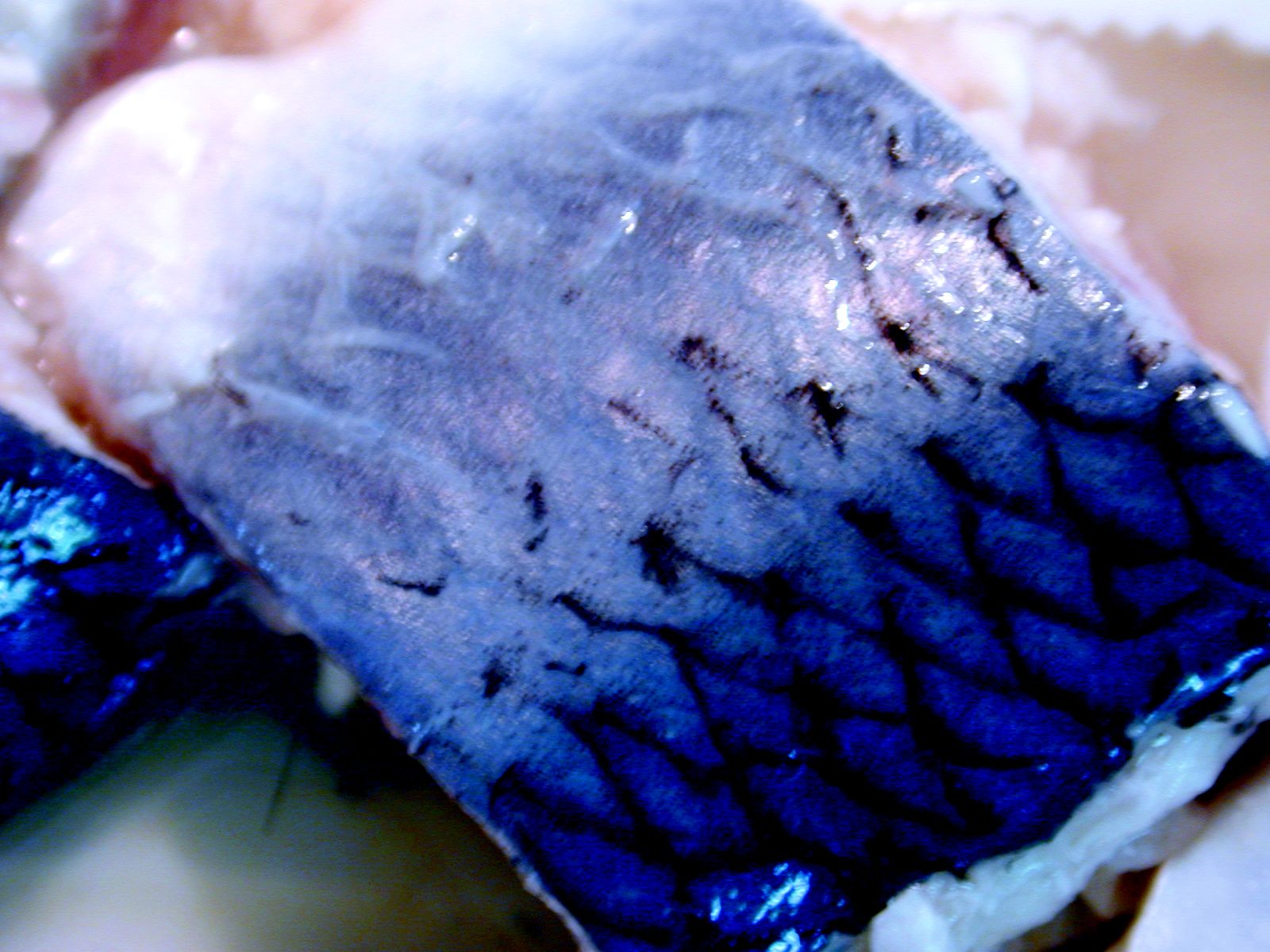 Image*After photos fish skin scales meat blue herring