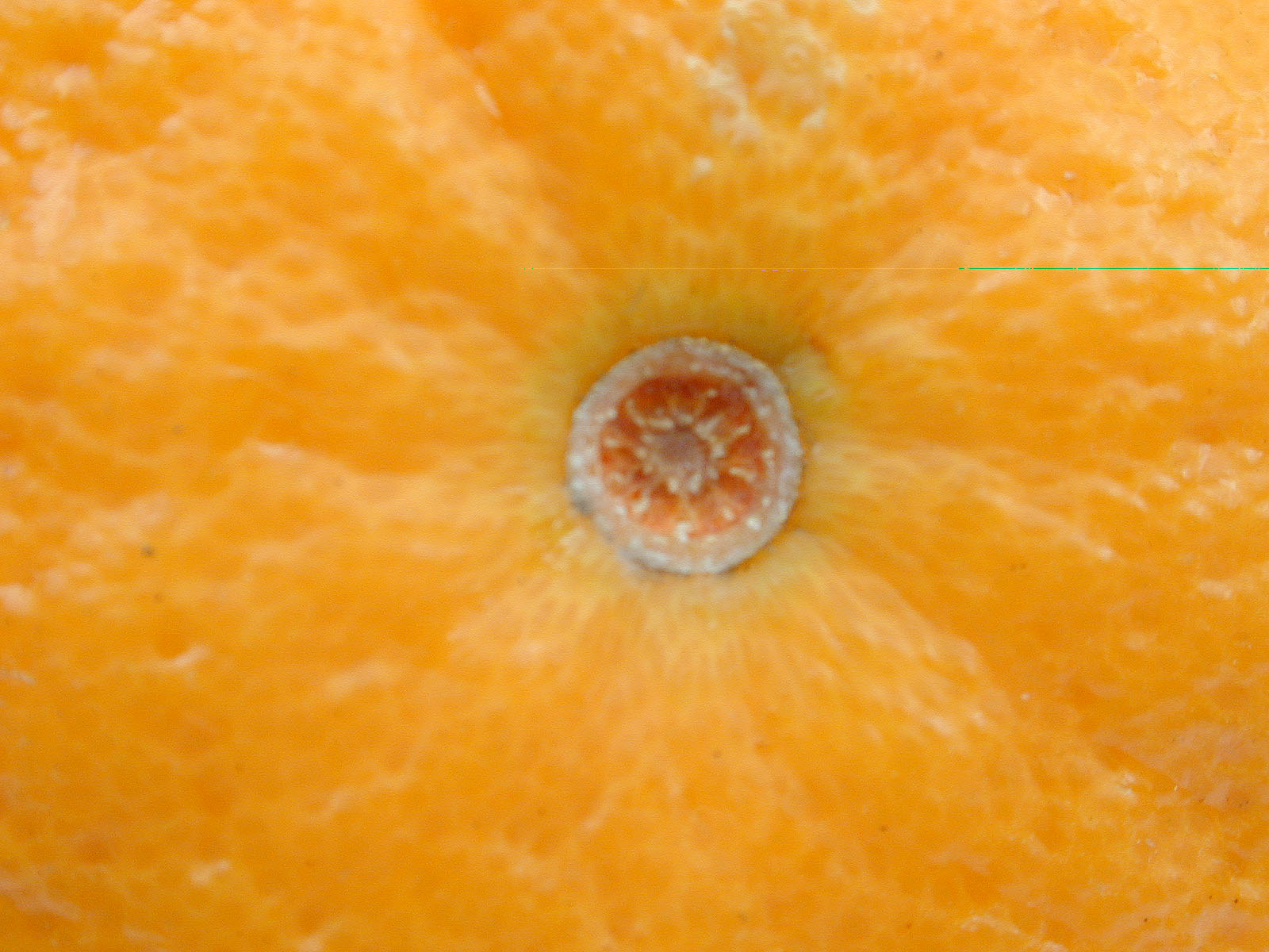 Фактура апельсина