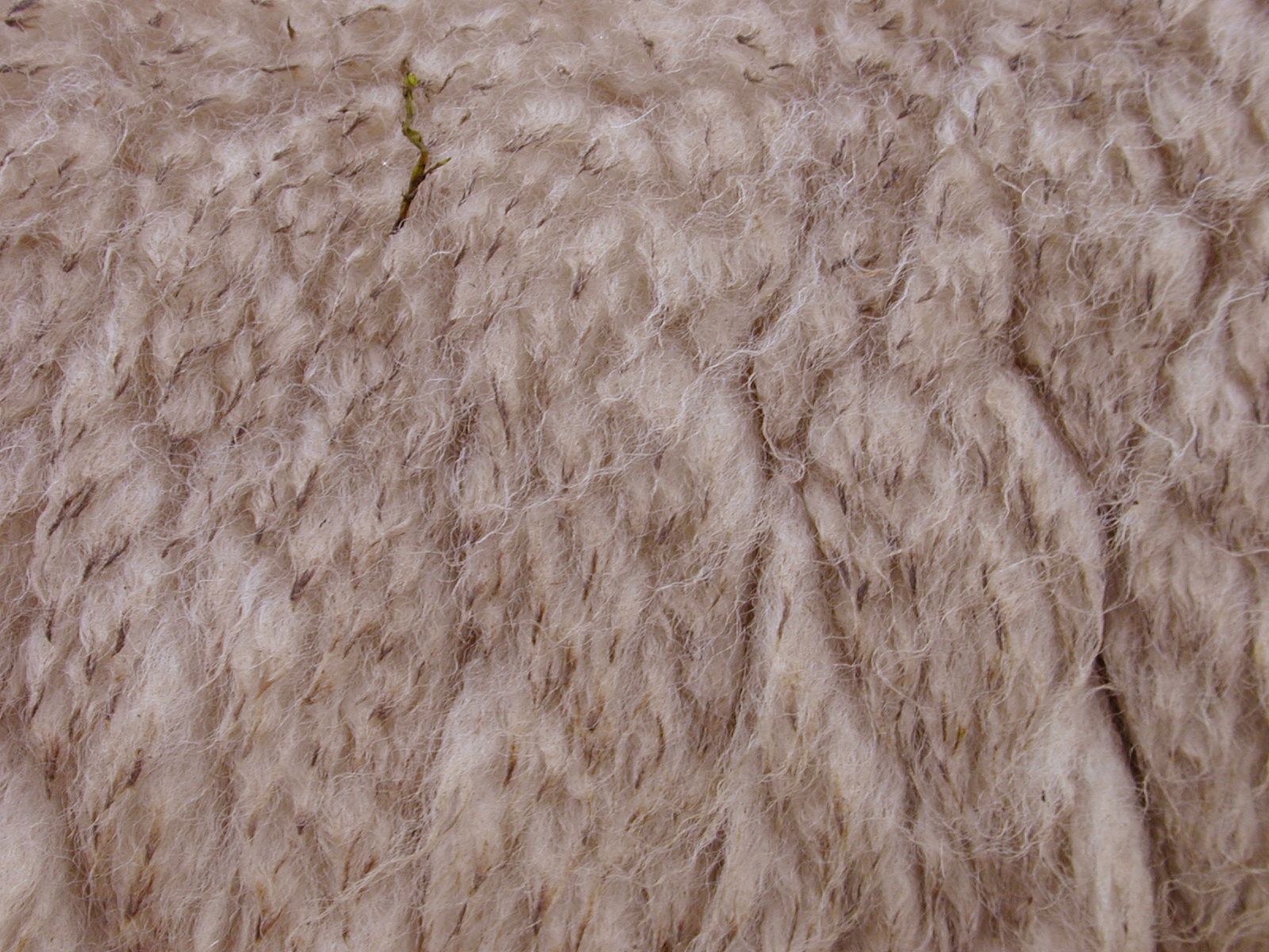 Image*After : photos : sheep fur coat fluffy