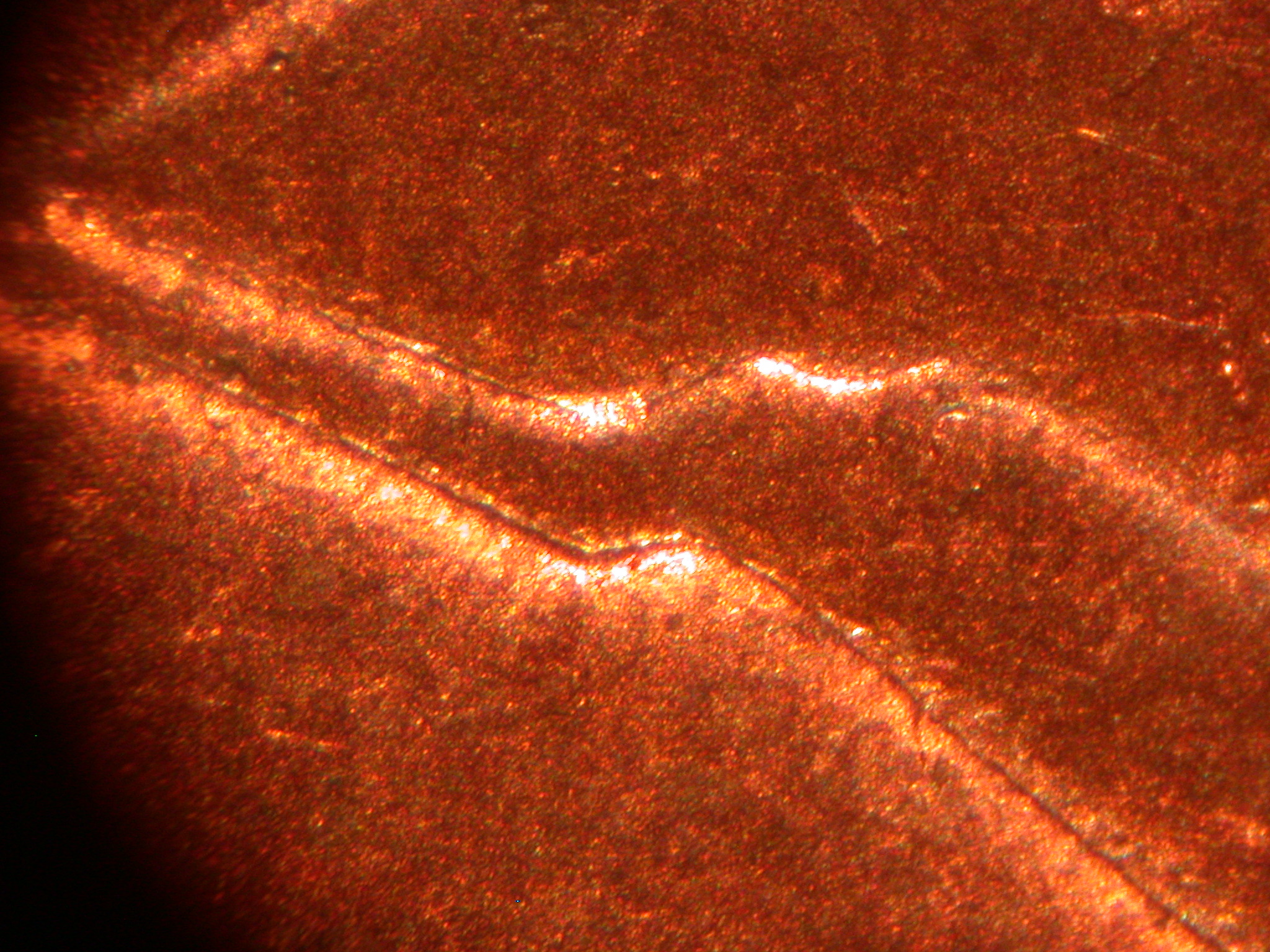 image-after-textures-goo-microscopic-texture-noise-red