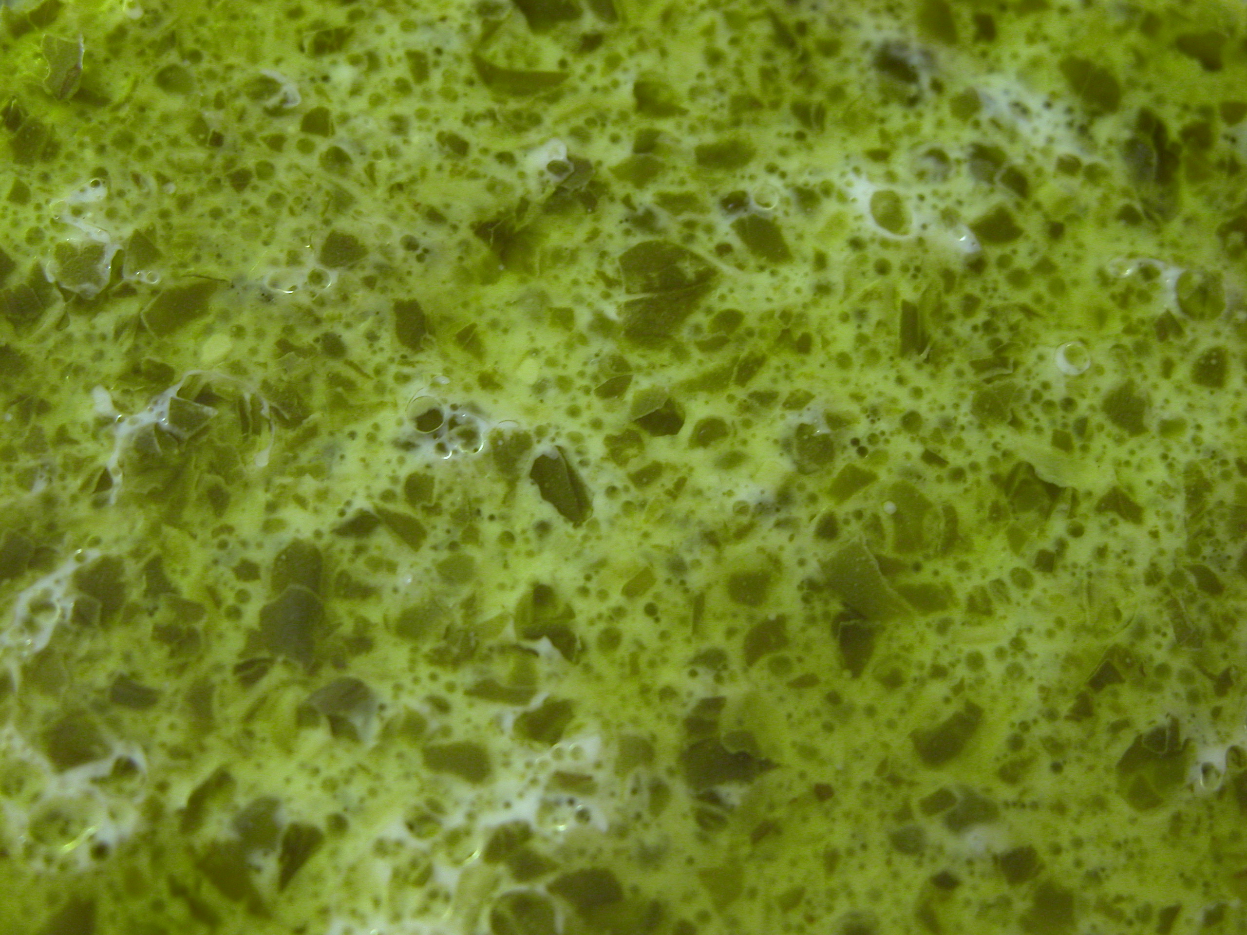 slimey green substance slime.