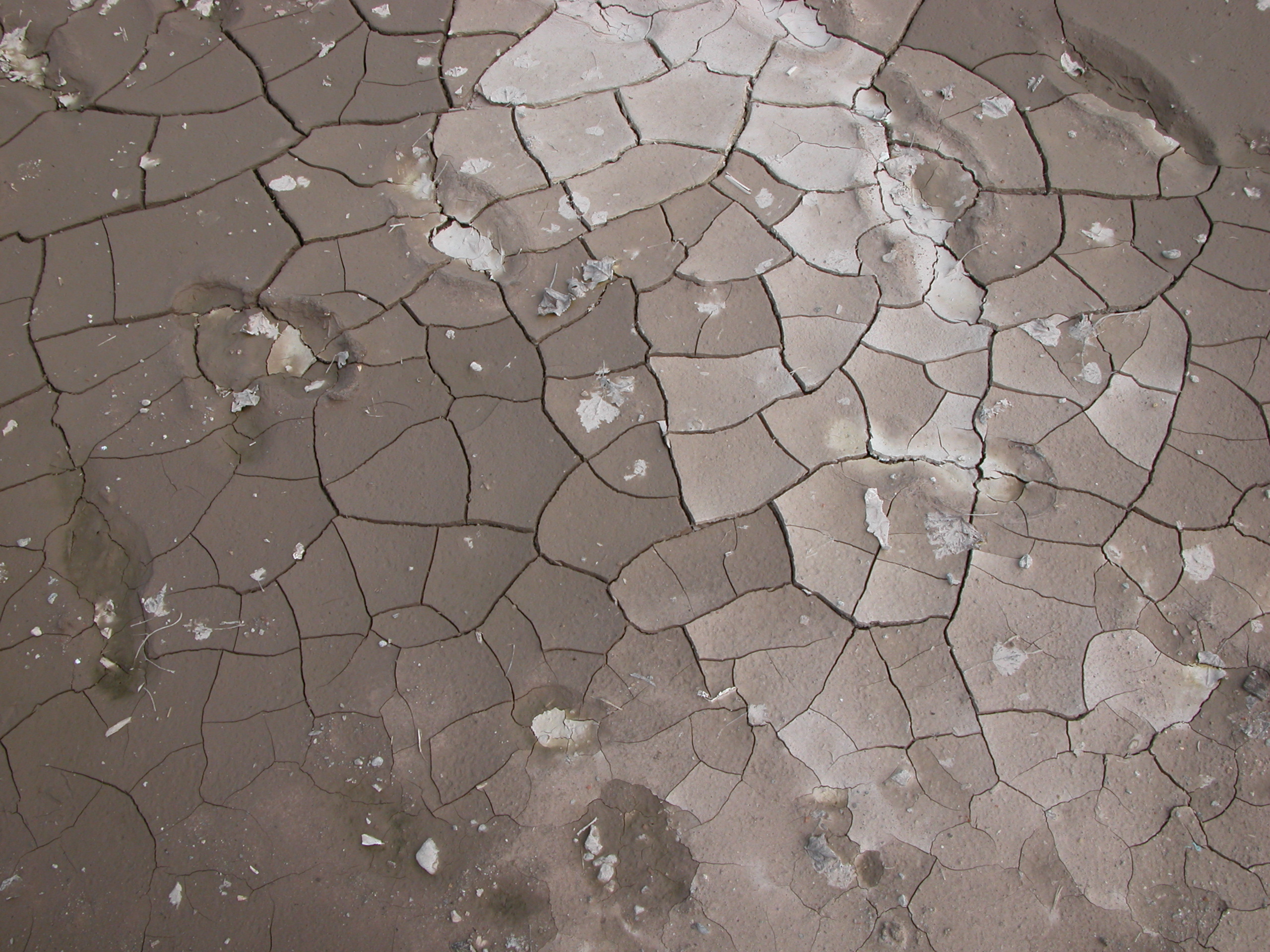 Image*After photos dry ground mud dried