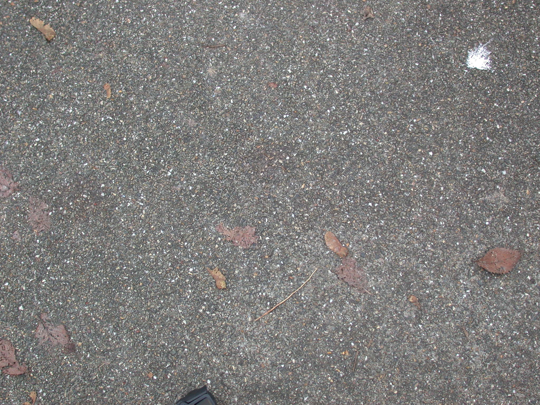 Little Hobart Street:  From Grit To Glamour? - 4jve8oc