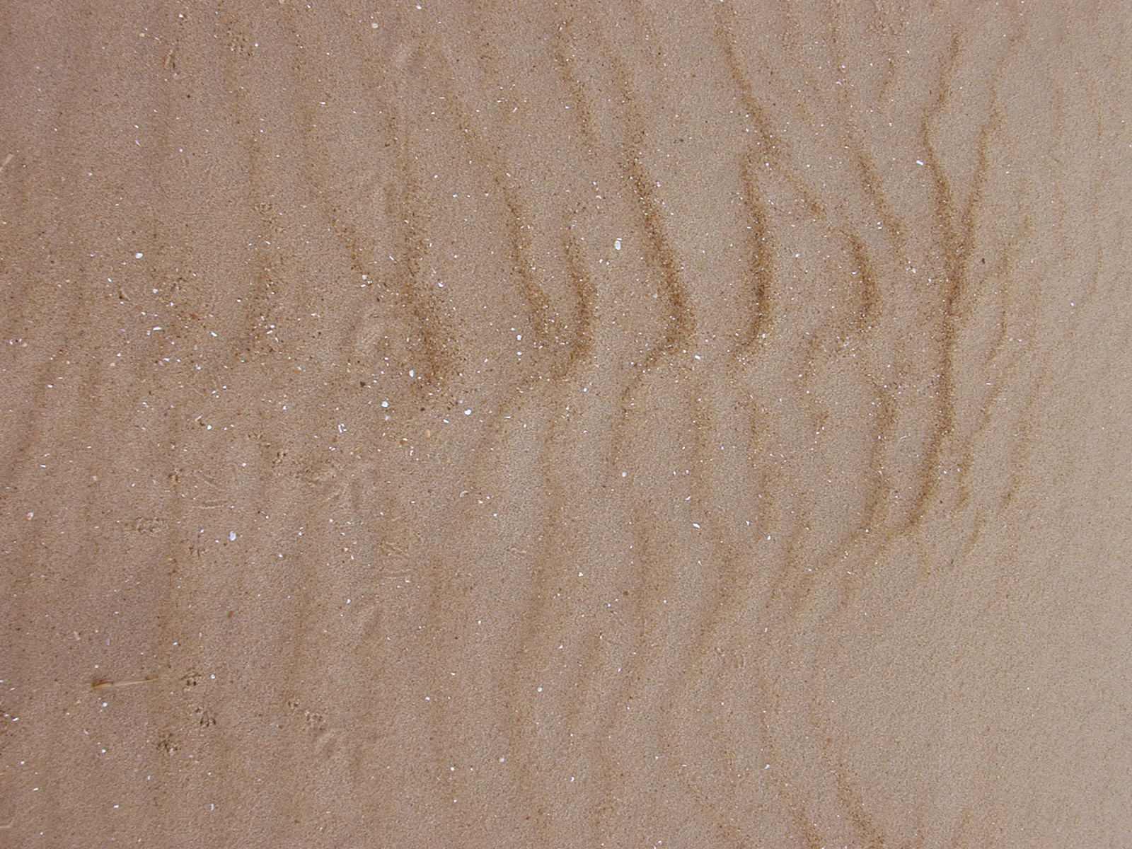 沙子图片素材-编号23121530-图行天下