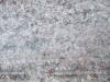 tabus ground gray white scratches leafs snow autumn cold