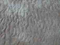 beach sand wet water salt saltwater foam rippled