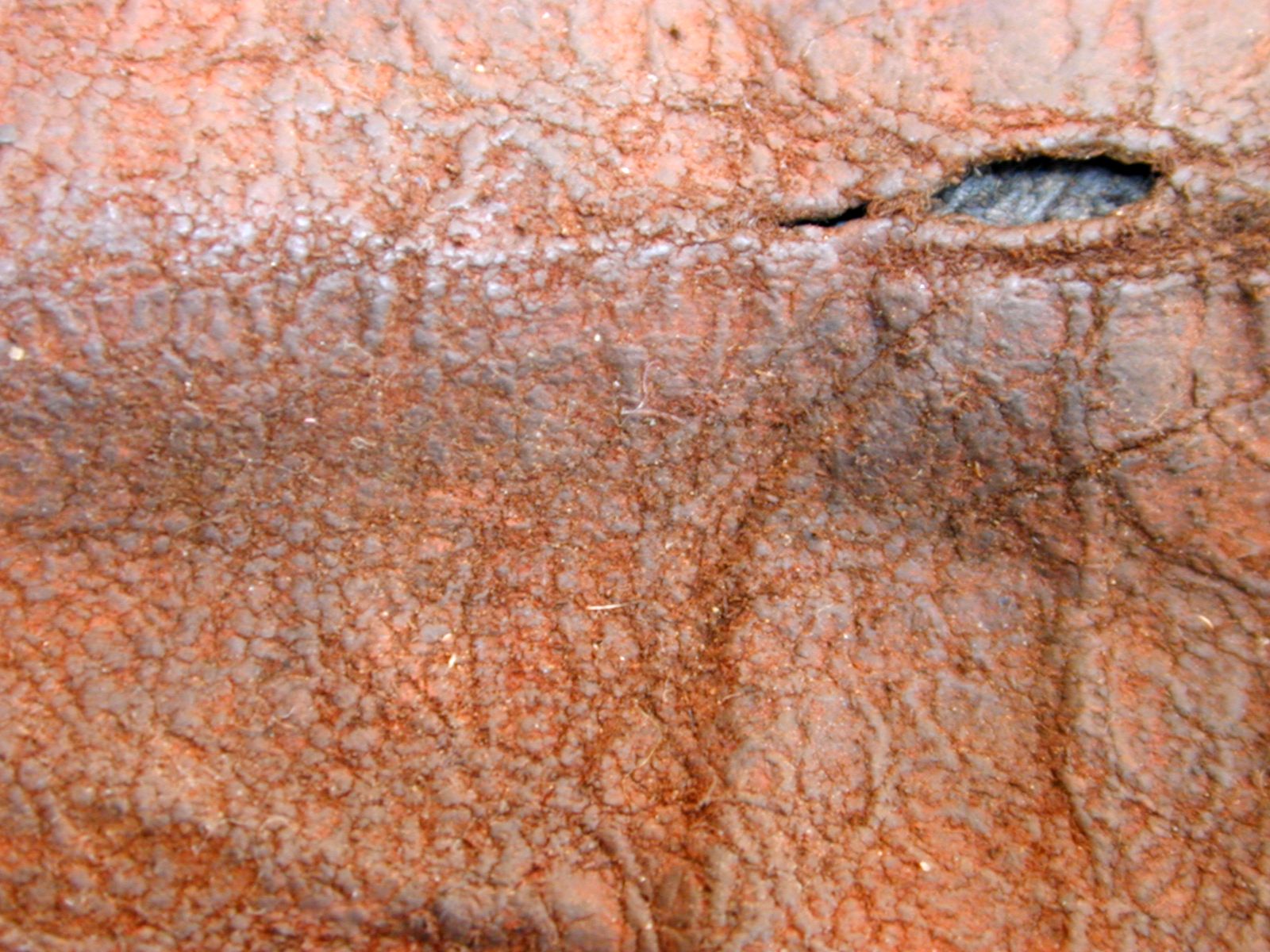 Ripped Leather Texture