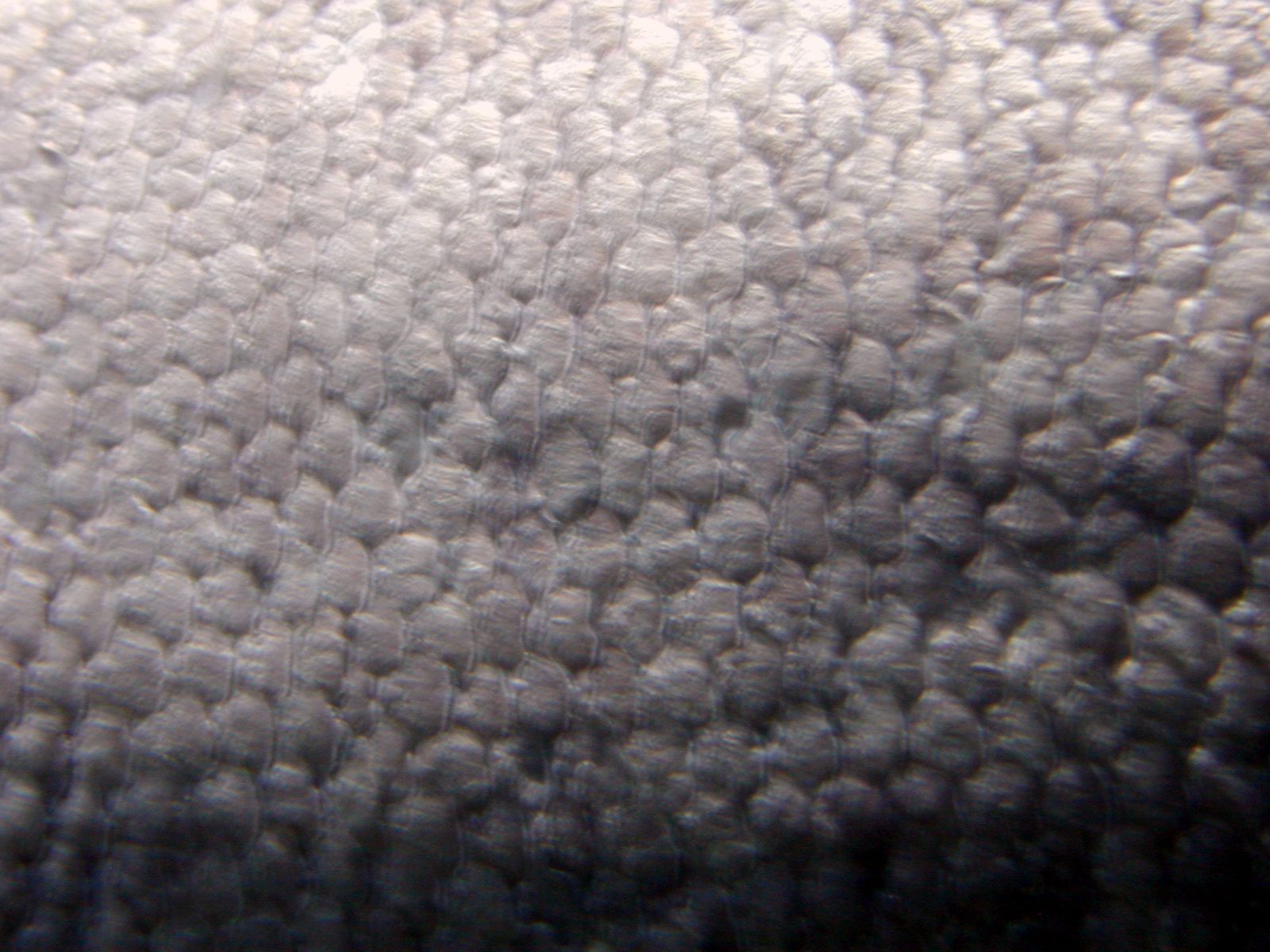 Fish Scale Texture