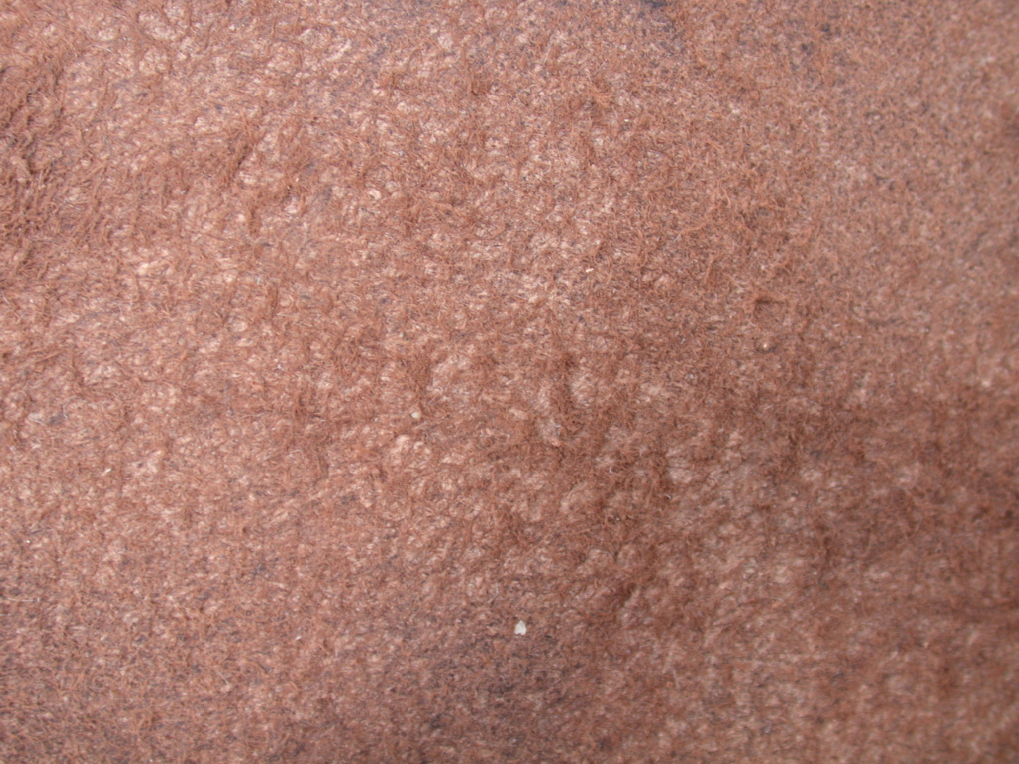 free skin texture