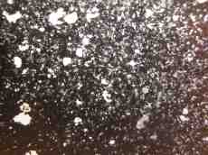 light dots speck specks explosion movement black and white