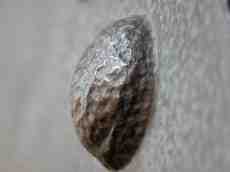 janneke metal bronze blob semi sphere dimple dimpled