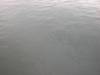 nature elements water sea texture waves fine ocean
